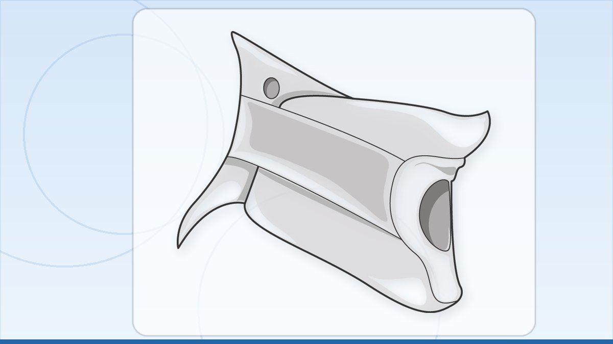 medical illustration: equipment - Orthopedics - Neck brace